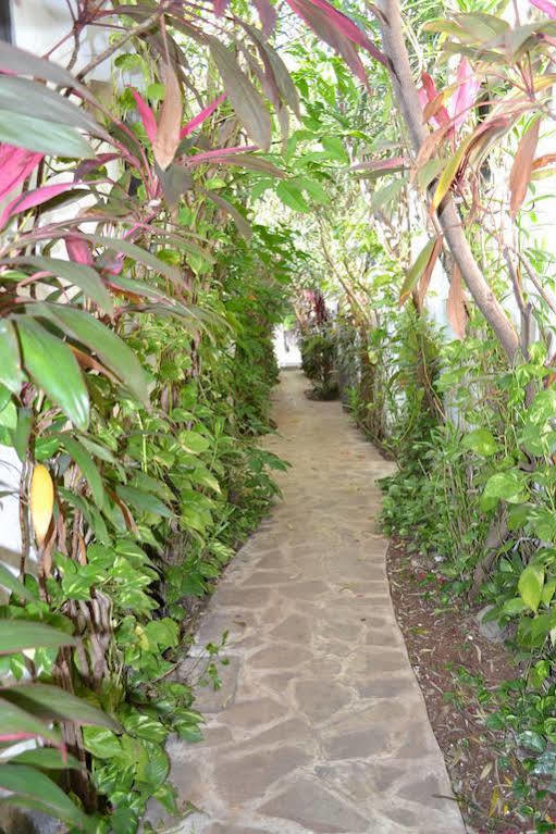 Hotel Aventura Merida Luaran gambar