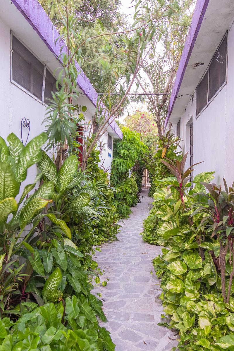 Hotel Aventura Merida Luaran gambar